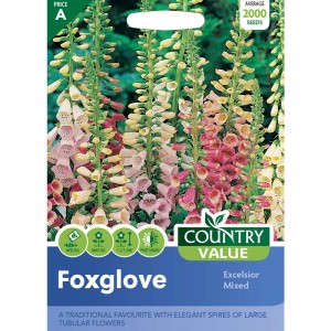 Mr.Fothergill's Foxglove Excelsior Strain