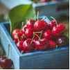KitchenCraft MasterClass Deluxe Cherry/Olive Stoner Silver