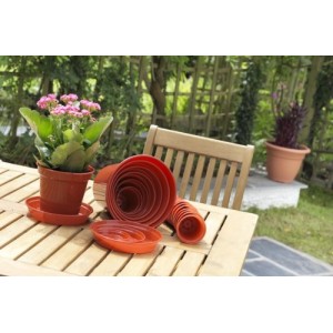 Whitefurze Plant Pot Terracotta 3"