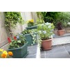 Whitefurze Venetian Round Planter - Terracotta 43cm