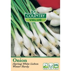 Mr.Fothergill's Onion (Spring) White Lisbon