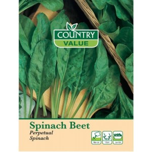 Mr.Fothergill's Leaf Beet Perpetual Spinach
