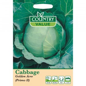 Mr.Fothergill's Cabbage Golden Acre Primo 2