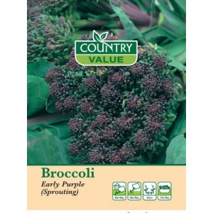 Mr.Fothergill's Broccoli Early Purple Sprouting