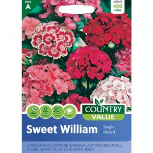 Mr.Fothergill's Sweet William Single Mixed