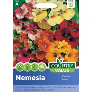 Mr.Fothergill's Nemesia Carnival Mixed