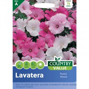 Mr.Fothergill's Lavatera Pastel Mixed