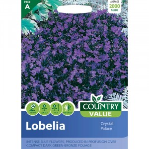 Mr.Fothergill's Lobelia Crystal Palace