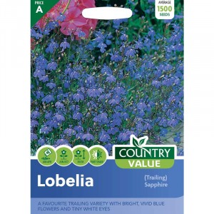 Mr.Fothergill's Lobelia (Trailing) Sapphire