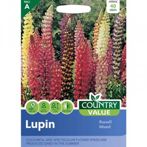 Mr.Fothergill's Russell Lupin Hybrids