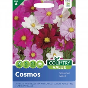 Mr.Fothergill's Cosmos Sensation Mixed