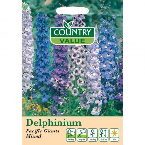 Mr.Fothergill's Delphinium Pacific Giants