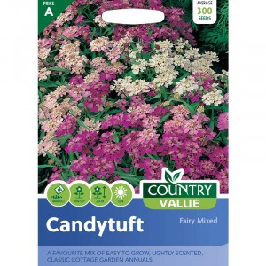 Mr.Fothergill's Candytuft Fairy Mixed