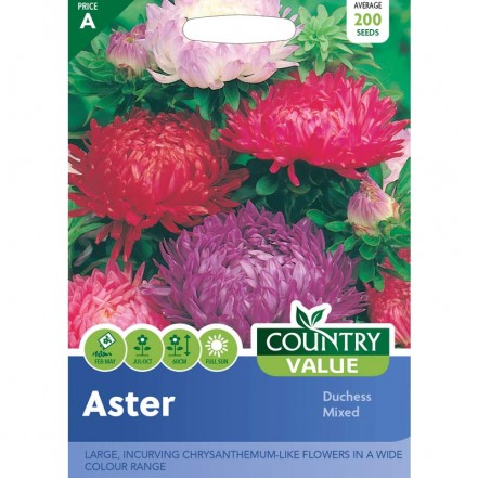 Mr.Fothergill's Aster Duchess Mixed