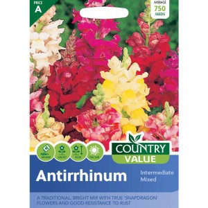 Mr.Fothergill's Antirrhinum Intermediate Mixed