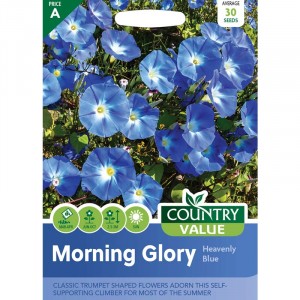 Mr.Fothergill's Morning Glory Heavenly Blue