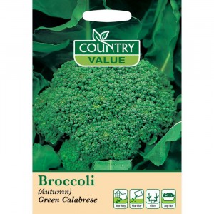 Mr.Fothergill's Broccoli (Autumn) Green Calabrese