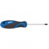 Draper PZ Type Screwdriver with Soft Grip Handles 0 x 75mm