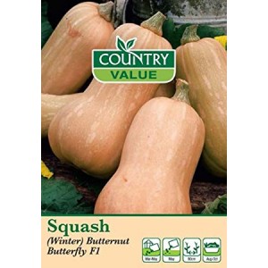 Mr.Fothergill's Squash (Winter) Butternut F1