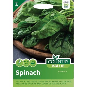 Mr.Fothergill's Spinach America