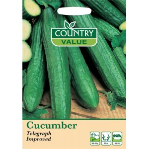 Mr.Fothergill's Cucumber Telegraph Improved