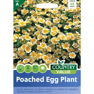 Mr.Fothergill's Poached Egg Plant