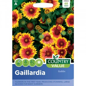 Mr.Fothergill's Gaillardia Goblin