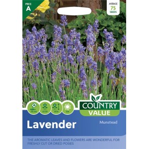 Mr.Fothergill's Lavender Munstead