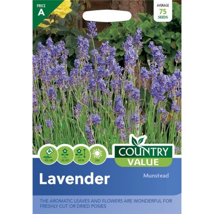 Mr.Fothergill's Lavender Munstead