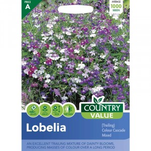 Mr.Fothergill's Lobelia (Trailing) Colour Cascade Mixed