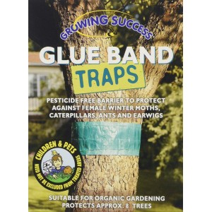 Westland Growing Success Glue Band Traps 1.75m