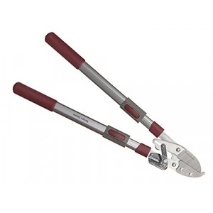 Ambassador Telescopic Ratchet Anvil Loppers