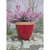 Provence Patio Pot